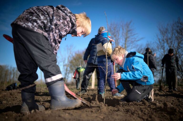Østrup præstegårdsjord