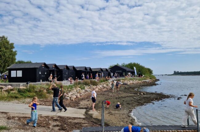 Projektpræsentation Hjemmeside(1)